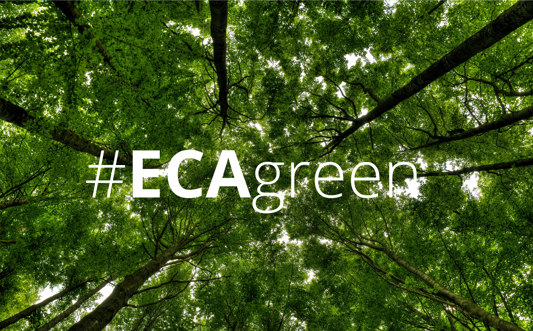 sito news eca green