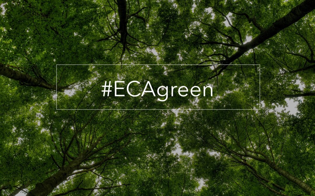 #ECAgreen: i nostri primi 40 anni