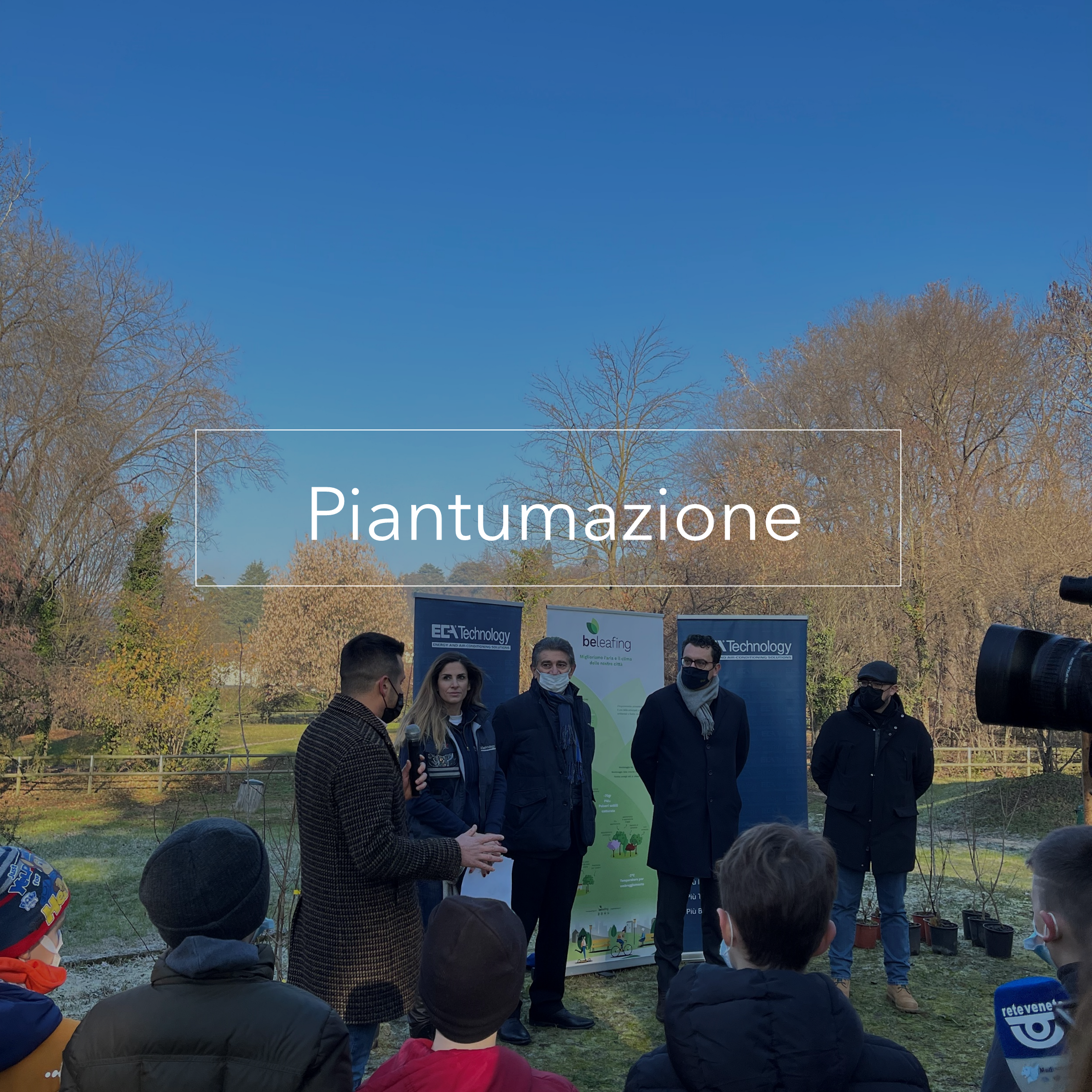 piantumazione news sito