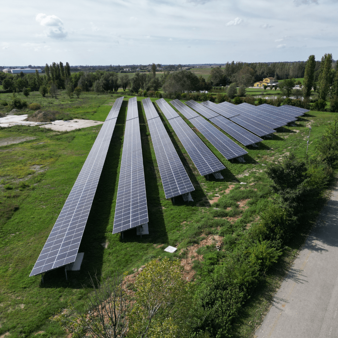 Progetto senza titolo (4) Grande impianto fotovoltaico a terra 1 MW Migliarino Ferrara