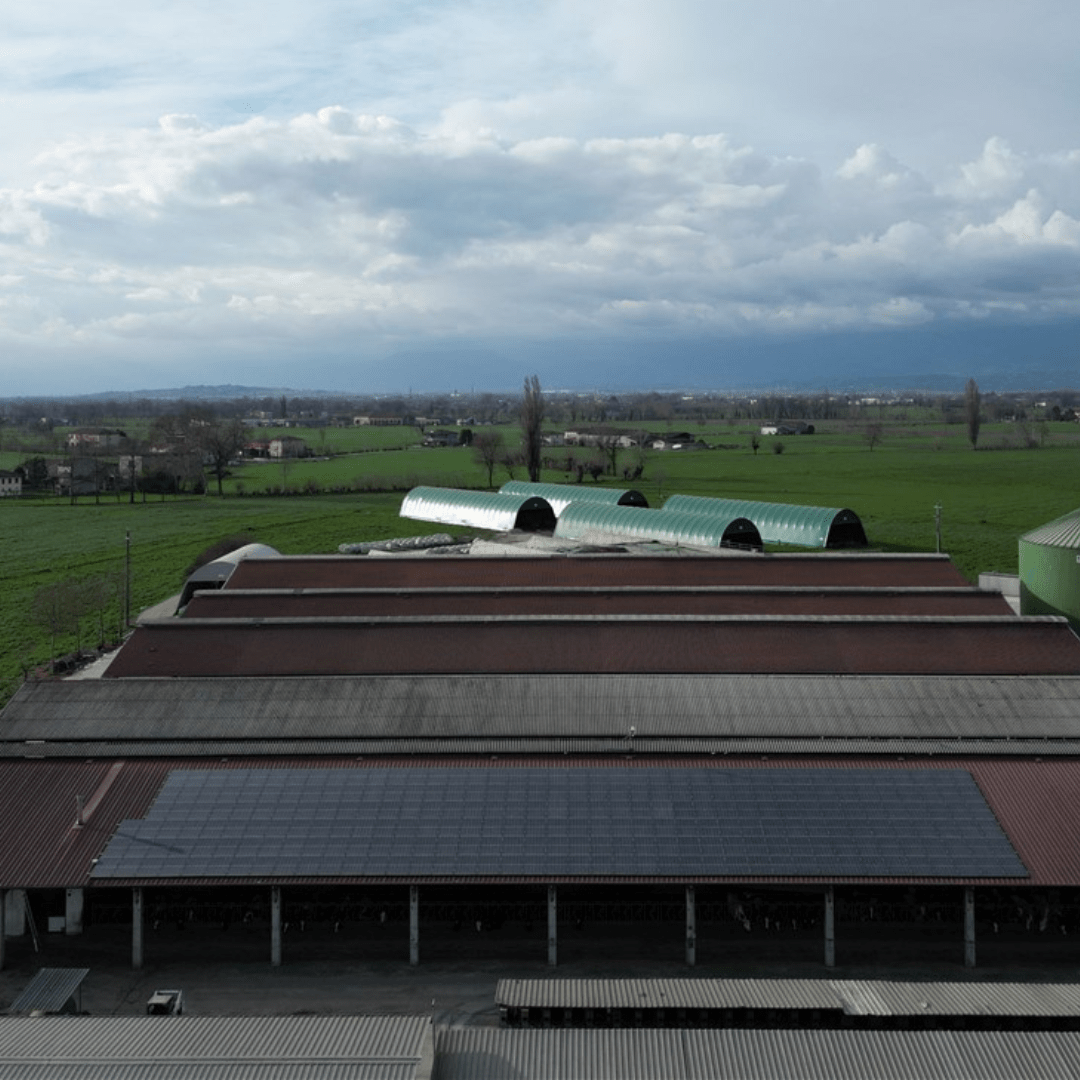 Progetto senza titolo (8) Impianto fotovoltaico su capannone industriale Paint Padova