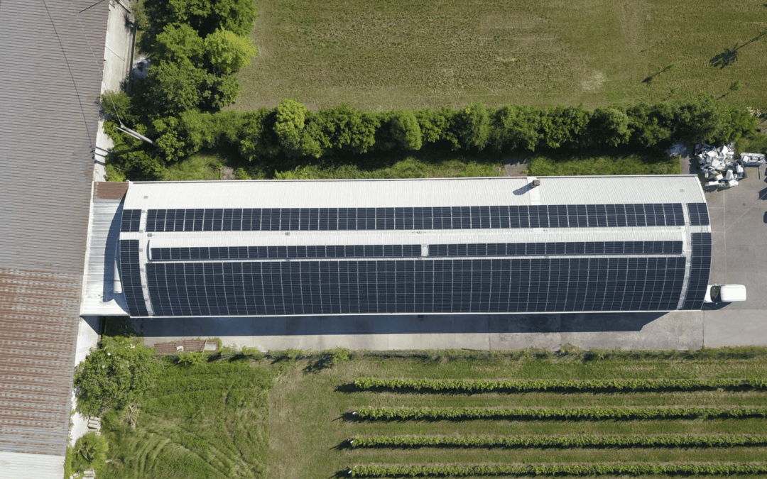 Una Comunità Energetica che guarda al futuro: ECA Technology fornisce la tecnologia per la condivisione dell’energia